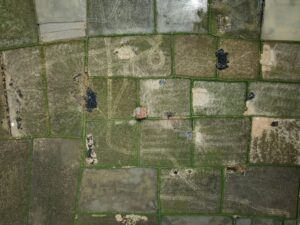 550342531 122094341661063208 5863133034260955383 n