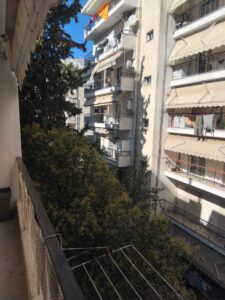 557076260 122093409837063208 1293350518430035448 n