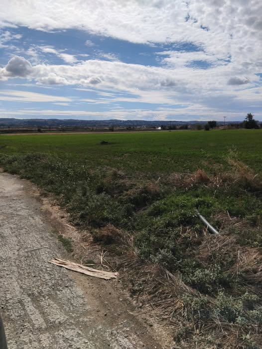 559899876 122093466489063208 3959375871225702771 n