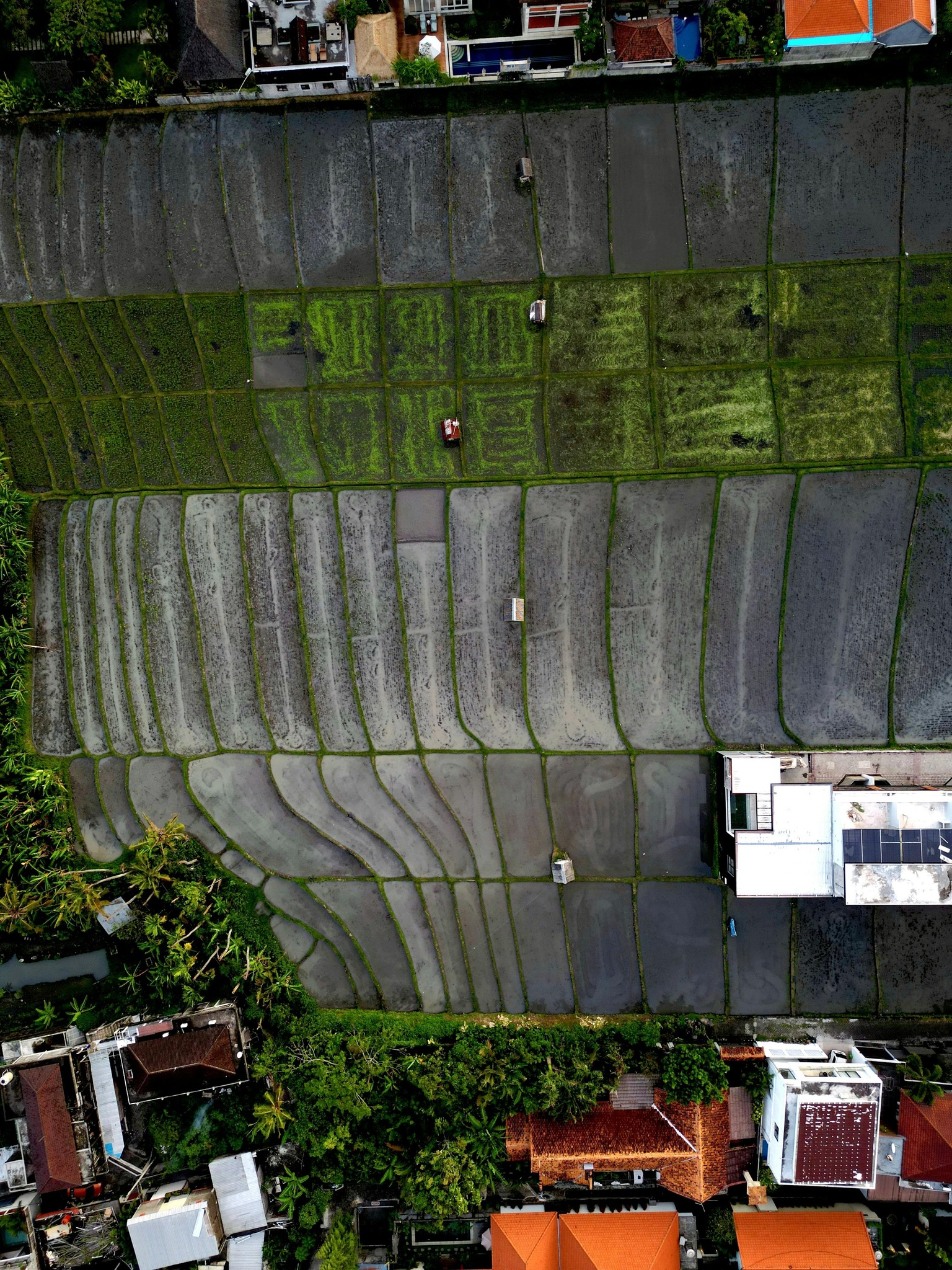 568484878 122104508481063208 2577628442854690243 n